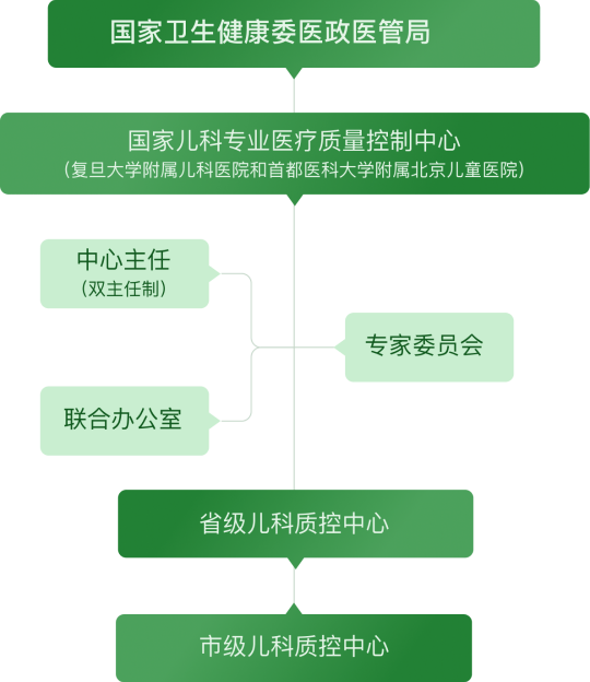 中心组织结构